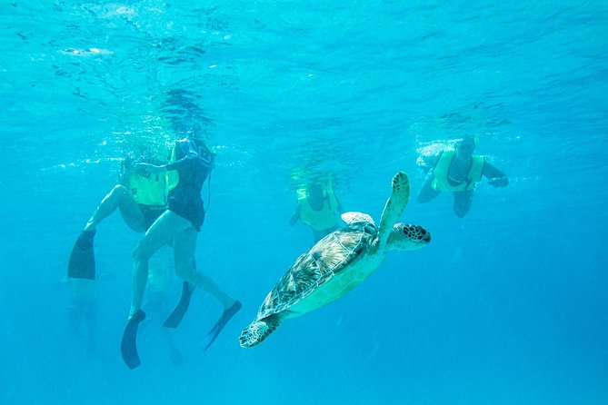 National Park Snorkeling Excursion - Key Things to Know Before You Go