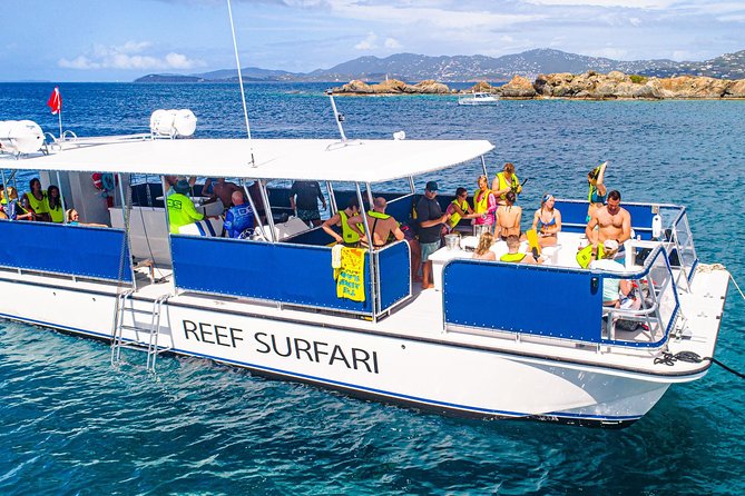 National Park Snorkeling Excursion - Virgin Islands National Park Snorkeling: Why the Wildlife Is the Main Event