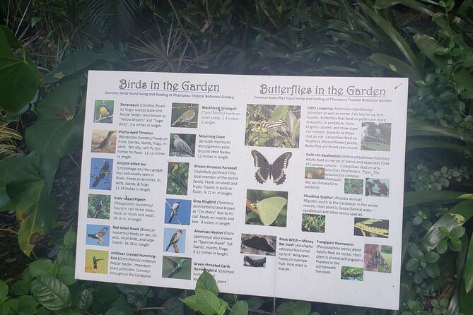 Nature and Sightseeing at Phantasea Tropical Botanical Garden - Phantasea Tropical Botanical Garden in St Thomas, orchids first
