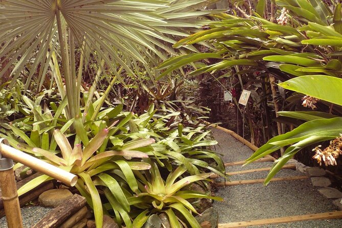 Nature and Sightseeing at Phantasea Tropical Botanical Garden - Entering the garden grounds at St Thomas pace