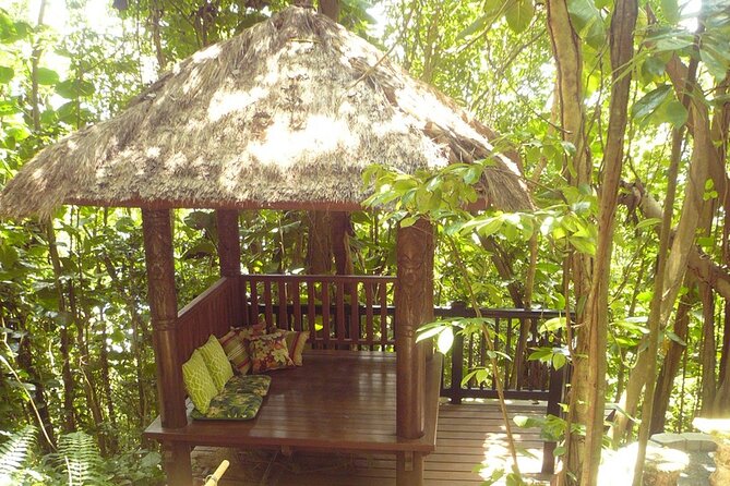 Nature and Sightseeing at Phantasea Tropical Botanical Garden - What a guide adds in a tropical garden setting