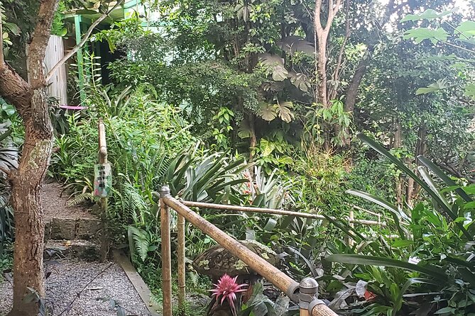 Nature and Sightseeing at Phantasea Tropical Botanical Garden - Who should book this Phantasea Botanical Garden tour