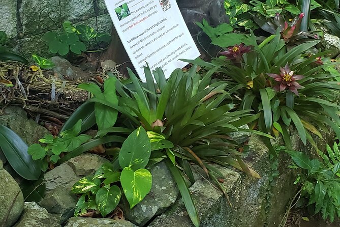 Nature and Sightseeing at Phantasea Tropical Botanical Garden - The 2-hour structure, why the timing feels manageable