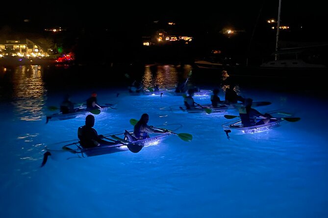 Night Kayak Tour St. John - Westin Resort - Key Highlights You Should Care About