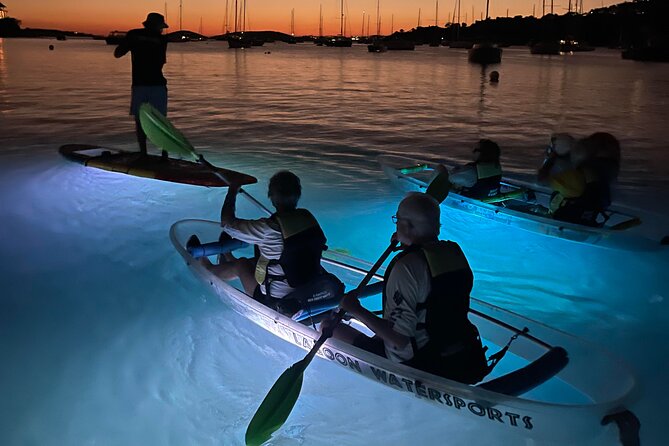 Night Kayak Tour St. John - Westin Resort - The Big Wildlife Moments: Tarpon, Sting Rays, and the Jumping Fish Factor