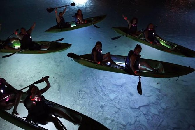 Night Kayak Tour St. John - Westin Resort - Price and Value: Is $69 Worth a Night Kayak Adventure?