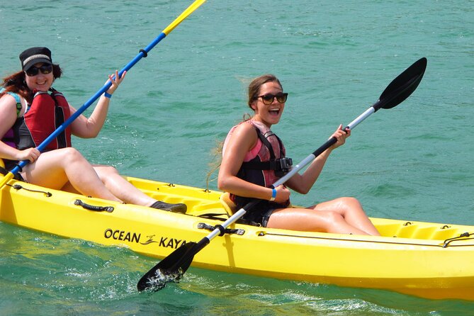 On Your Own: Kayak in the Mangrove Lagoon - Key Points You’ll Care About