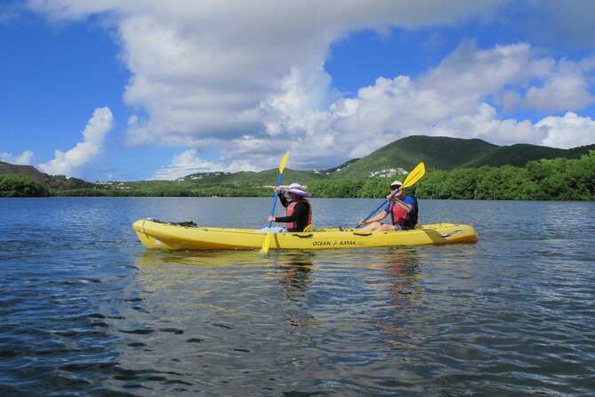 On Your Own: Kayak in the Mangrove Lagoon - Your Route: Inner Mangrove Lagoon and Bird Island Area