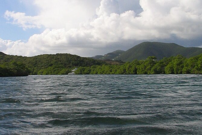 On Your Own: Kayak in the Mangrove Lagoon - The Wildlife Focus, Including Hermit Crabs