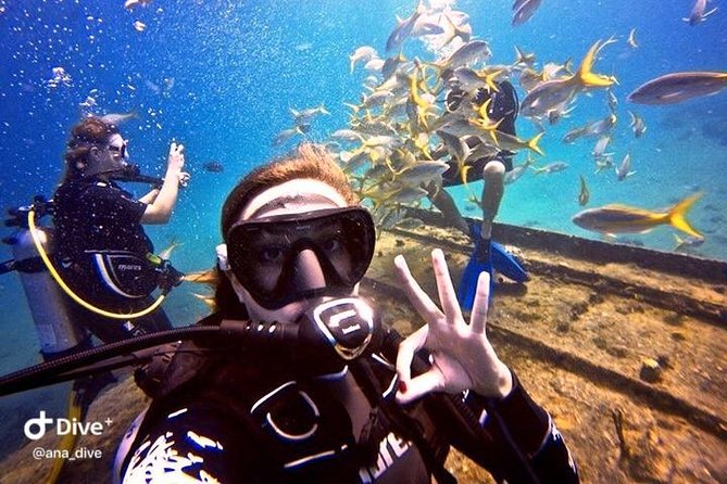 PADI / SSI Open Water Certification - Boat days in St Thomas: comfort details and realistic site expectations