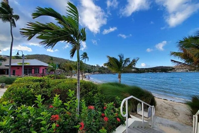 Paradise Taxi & Tours USVI-St. Thomas Airport Transfer to Wyndham Margaritaville - Drop-Off at Margaritaville Vacation Club and Resort, and How to Start Your Stay