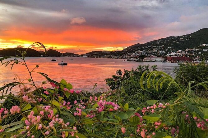 Paradise Taxi & Tours USVI -St. Thomas, Virgin Islands-Private Group-Island Tour - Waterfront Highway and Main Street Duty-Free, Right Where Cruise Days Begin