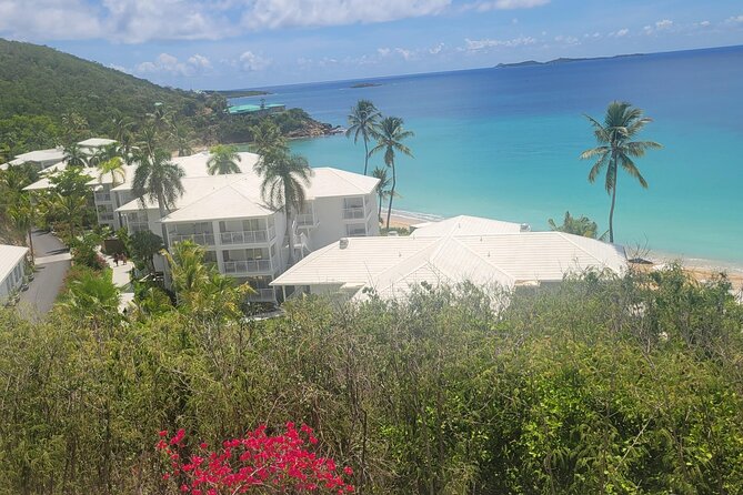 PARADISE TAXI & TOURS USVI-Transport Frenchmans Reef / Buoy Haus - Price and value: why some people call it a rip-off