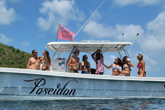 Private Fast Power Catamaran. Full or Half Day for Beach Hopping, Snorkel & Swim - Snorkeling gear, turtles, fish, and what you should expect realistically