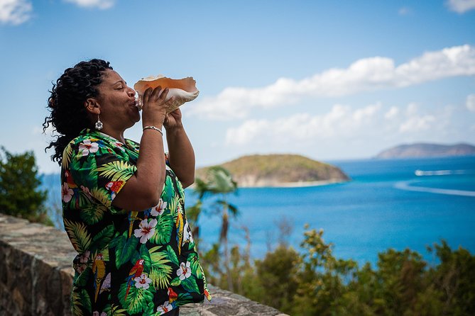 Private Four Hour Historic/Beach Tour with Star Fish Tours & Taxi - Cinnamon Bay and Maho Bay: longer beach time with different vibes