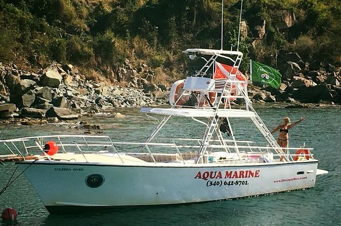Private Full Day Guided Snorkeling or Diving Charter in St Thomas - Christmas Cove at Greater St James: Snorkel Time With Common Sea Life