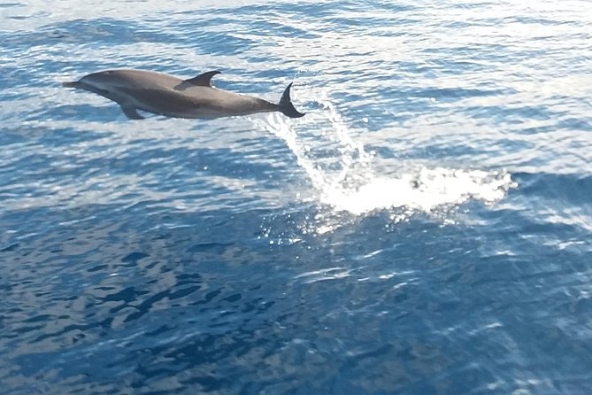 Private Full Day Sail/ Snorkel Experience USVI (Sapphire Marina, STT pick up) - Practical Tips Before You Book This USVI Sail Day