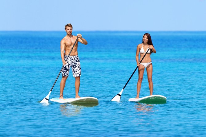 Private Luxury Catamaran Yacht. Full or Half Day Charter - Sail, Beach, Snorkel. - Snorkeling Gear, Turtles, Rays, and the Pisces Plunge Moment