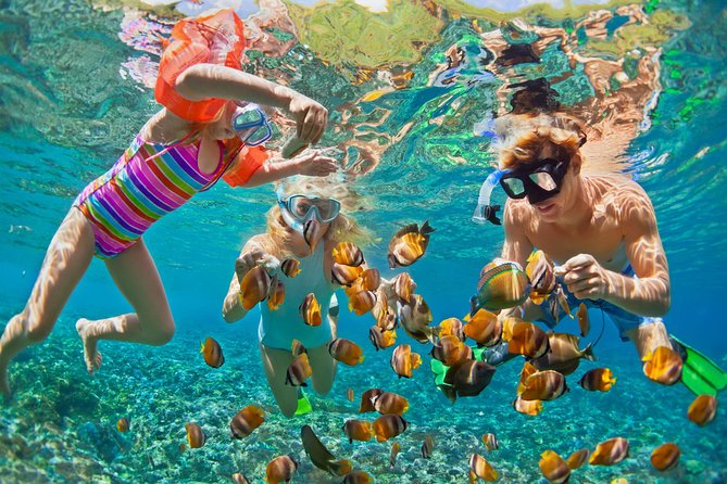 Private Luxury Charter Aboard New Multi-Deck Lagoon Catamaran - Snorkeling Around St Thomas and Nearby Cays, Including Turtles