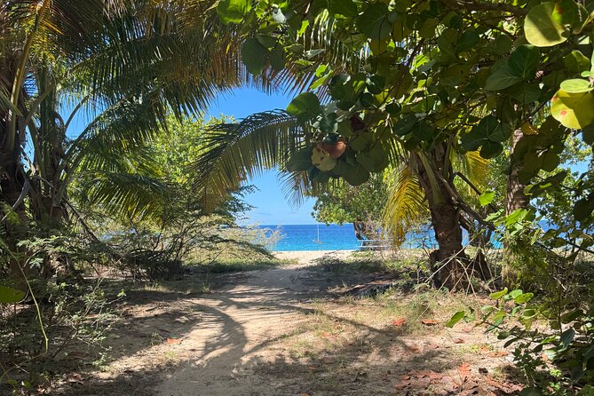 Private Open-Air Jeep Adventure with Tropic Sun –Hidden Beaches - The Big Idea: Open-Air Jeep, Secret Beaches, and Real Island Time
