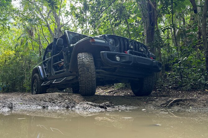 Private Open-Air Jeep Adventure with Tropic Sun –Hidden Beaches - Your Route, Stop by Stop: From Charlotte Amalie to Quiet Coves