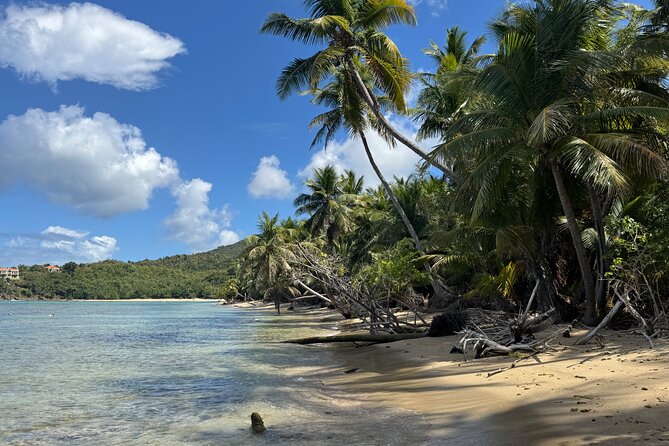 Private Open-Air Jeep Adventure with Tropic Sun –Hidden Beaches - Private Open-Air Jeep in St. Thomas: Why This Format Works