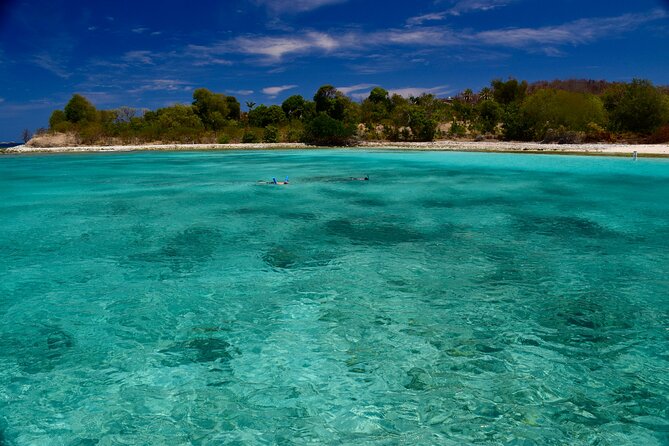 Private Power Catamaran. Secluded Beaches, Snorkeling, Turtles for Full/Half Day - Snorkeling on coral reefs: what to expect in the water
