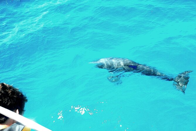 Private Sailing Tour of Pirate Waters and Shipwrecks - Key Things That Make This Sail Worth It
