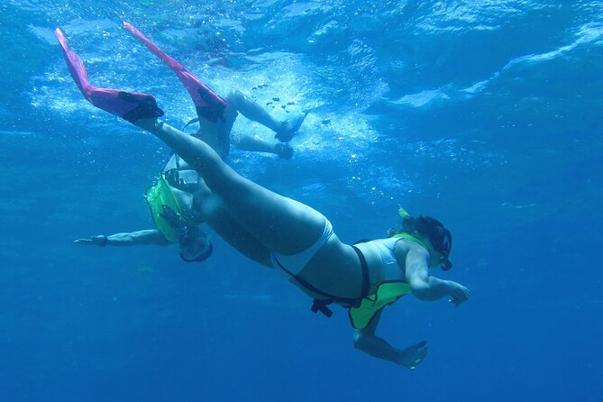 Reef and Turtle Adventure - Kayak and Snorkel Tour - Key points before you book this kayak and snorkel tour