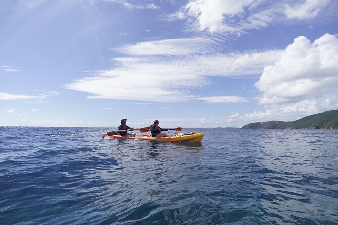 Reef and Turtle Adventure - Kayak and Snorkel Tour - Kayak and snorkeling around St. Thomas, what the day is like