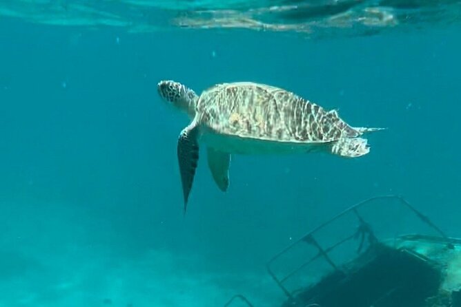 Sail and Snorkel Private Charter - Half Day Morning - Getting on Board at Sapphire Beach Marina, 8:00 am