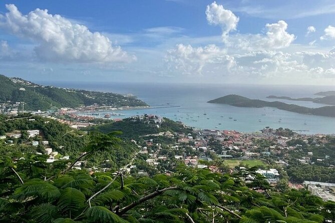 Sail and Snorkel Private Charter - Mid-Day Sail 1230pm to Sunset - The Mid-Day Lunch Choice: Pizza Pi or Lovango Resort
