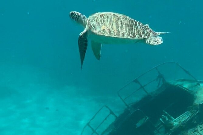 Sail and Snorkel Private Charter - Mid-Day Sail 1230pm to Sunset - Cruising St John and National Park Waters at Your Crew’s Pace
