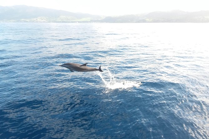 Sail/Snorkel Adventure from Sapphire Marina,STT NO CROWDS~ 6 GUEST MAX - Price and Value: Is $159 Worth It?