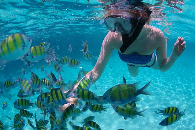 Sail/Snorkel Adventure from Sapphire Marina,STT NO CROWDS~ 6 GUEST MAX - Snorkeling Time, Gear, and Float Options That Help You Relax