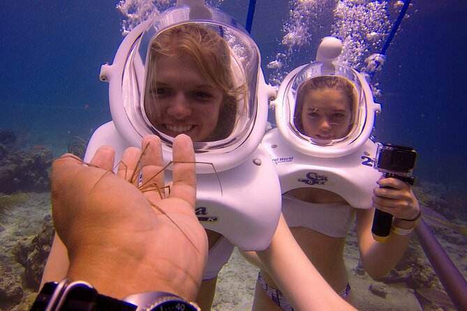 Sea Trek Helmet Dive at Coral World Ocean Park - Price Value at $119: What You’re Really Paying For