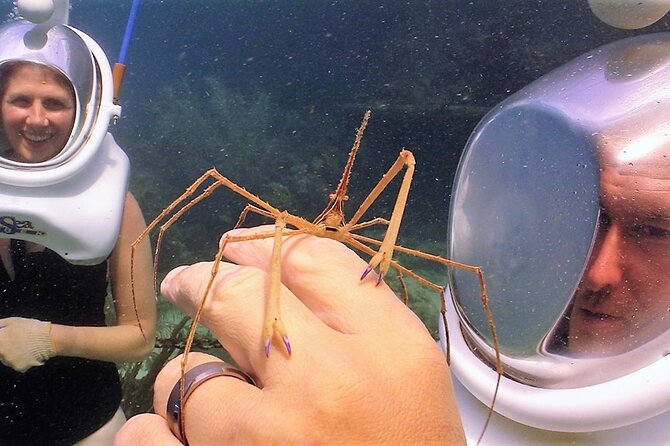 Sea Trek Helmet Dive at Coral World Ocean Park - Should You Book This Sea Trek Helmet Experience at Coral World?