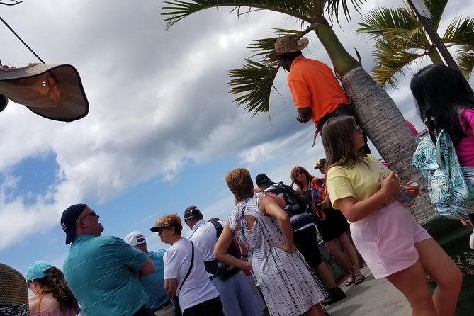 Shopping And Sightseeing Excursion - Charlotte Amalie: Main Street Shopping Plus Real Local Stops