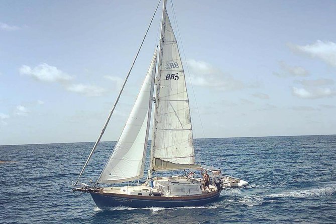 Simply Sailing Private Sail from Sapphire Marina - Key Highlights You’ll Actually Care About