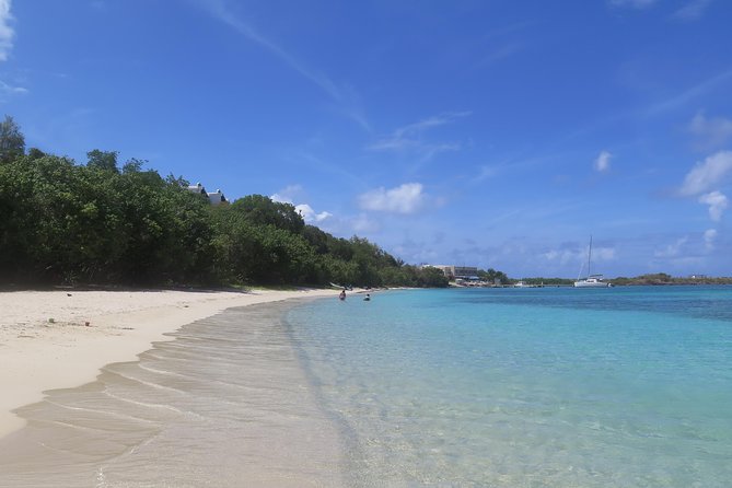 Small Group Sea Turtle Tour (Guaranteed to see turtles) - Where this sea turtle snorkeling tour meets in St Thomas
