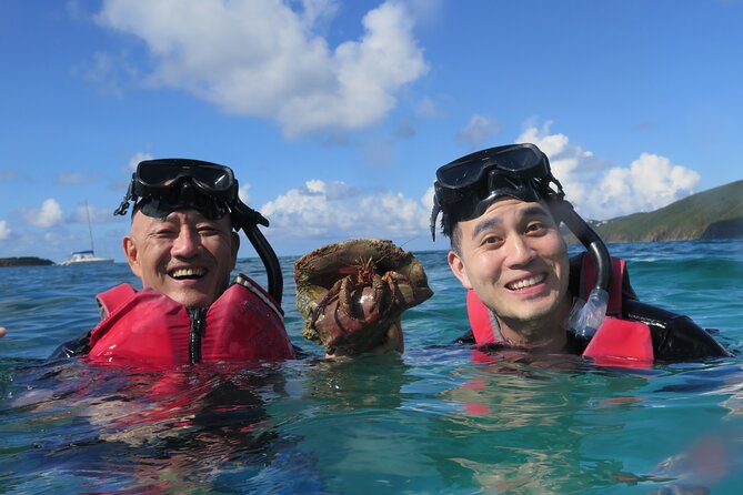 Small Group Sea Turtle Tour (Guaranteed to see turtles) - Why the turtles feel guaranteed, even if you hate guessing