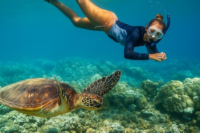Snorkel and Sunset Cruise from Margaritaville Resort - Back on Board: Hors d’oeuvres and Drinks During the Cruise
