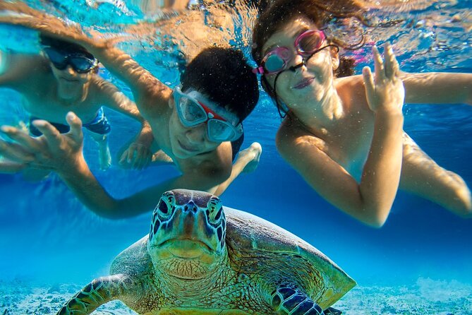 Snorkel and Sunset Cruise from Margaritaville Resort - Price and Value: Is $150 a Good Deal in St. Thomas?