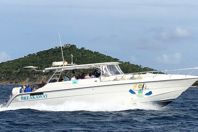 Snorkel and Sunset Cruise from Margaritaville Resort - Snorkel Stop at the Nearby Cay: What You Actually Get in the Water