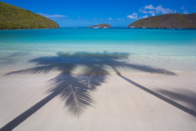 Snorkel Cat All Inclusive Adventure - What you should actually expect to see under the water