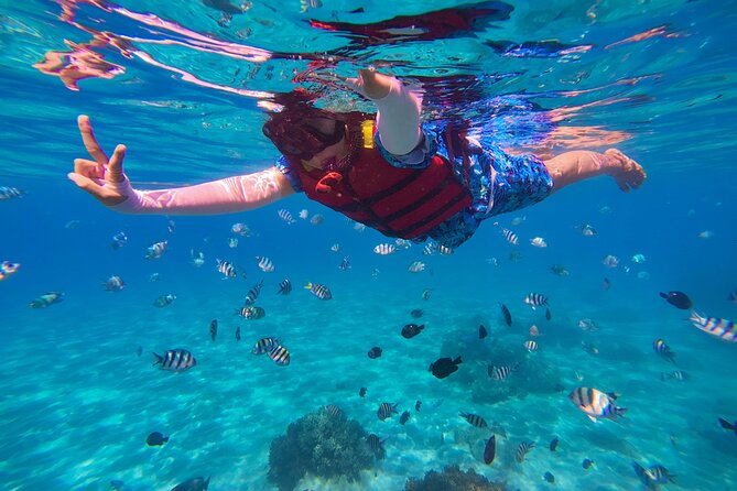Snorkel St. John Tour from Sapphire and Margaritaville - A 9am to 3pm powerboat day that fits real schedules