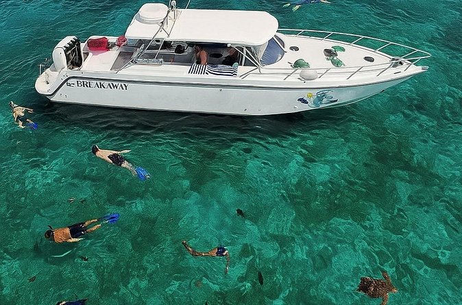 Snorkel St. John Tour from Sapphire and Margaritaville - The three snorkeling stops around St. John National Park