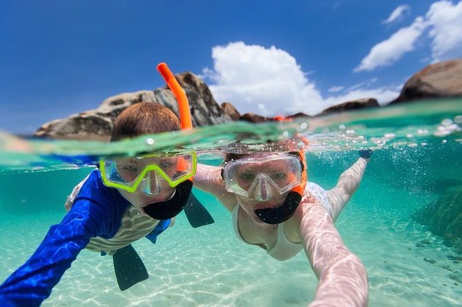 Snorkel St. John Tour from Sapphire and Margaritaville - Marine life you can realistically hope to see