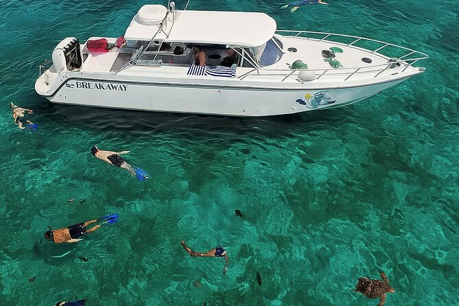 Snorkel St. John Tour from Sapphire and Margaritaville - Price and value: why $180 can work if you want the full package