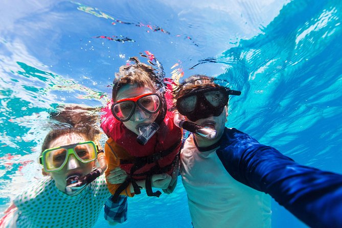 Snorkel & Swim with Turtles. Semi Private Tour to Buck Island & Honeymoon Beach - What You’re Paying For: $160 Value Breakdown